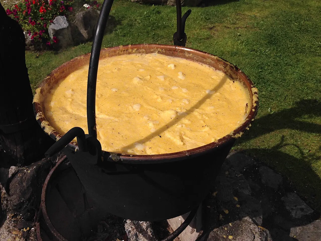 Traditional polenta